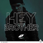 Avicii - Hey Brother