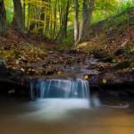 Široký jarček, bystrá vodička 