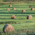 A za našom chyžou kopa šina